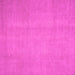 Square Abstract Pink Modern Rug, abs2725pnk