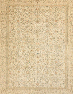 Abstract Brown Gold Oriental Rug, abs2728