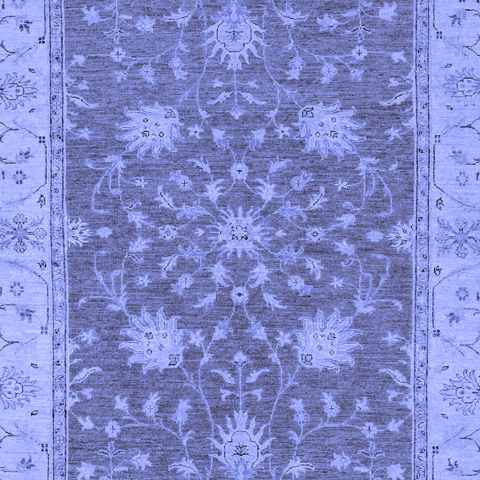 Oriental Blue Traditional Rug, abs2744blu