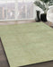 Machine Washable Abstract Olive Green Rug in a Family Room, wshabs2750