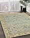 Abstract Brown Oriental Rug in Family Room, abs2766