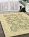 Machine Washable Abstract Brass Green Rug in a Family Room, wshabs2774