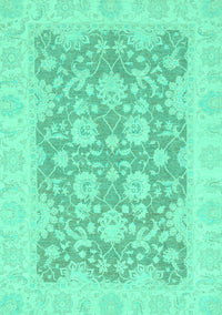 Oriental Turquoise Traditional Rug, abs2774turq