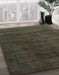 Machine Washable Abstract Coffee Brown Rug in a Family Room, wshabs2792