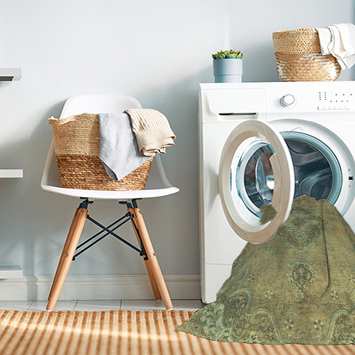 Machine Washable Abstract Brass Green Rug in a Washing Machine, wshabs2796