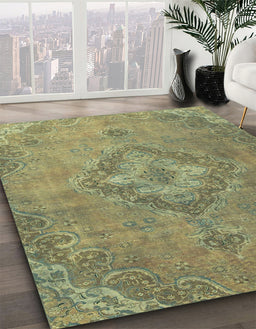 Machine Washable Abstract Brass Green Rug in a Family Room, wshabs2796