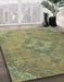 Machine Washable Abstract Brass Green Rug in a Family Room, wshabs2796