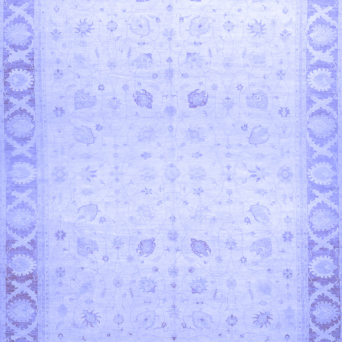 Oriental Blue Traditional Rug, abs27blu