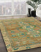 Machine Washable Abstract Brass Green Rug in a Family Room, wshabs2806