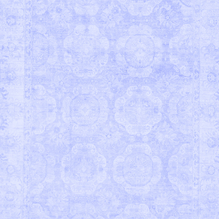 Oriental Blue Traditional Rug, abs2814blu