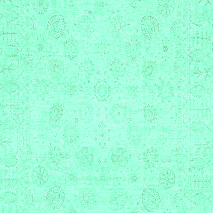 Oriental Turquoise Traditional Rug, abs2815turq