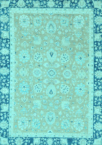 Oriental Light Blue Traditional Rug, abs2824lblu