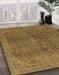 Machine Washable Abstract Cinnamon Brown Rug in a Family Room, wshabs2827