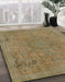 Machine Washable Abstract Brass Green Rug in a Family Room, wshabs2828