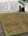 Machine Washable Abstract Dark Golden Brown Rug in a Family Room, wshabs2834