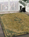 Machine Washable Abstract Caramel Brown Rug in a Family Room, wshabs2835