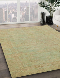 Machine Washable Abstract Brass Green Rug in a Family Room, wshabs2844