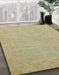 Machine Washable Abstract Brass Green Rug in a Family Room, wshabs2844