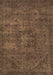 Persian Brown Bohemian Rug, abs2847brn