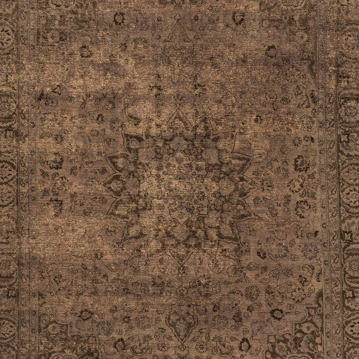 Machine Washable Persian Brown Bohemian Rug, wshabs2847brn