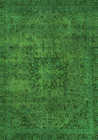 Persian Green Bohemian Rug, abs2847grn