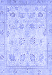 Oriental Blue Traditional Rug, abs2869blu