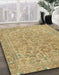 Abstract Metallic Gold Modern Rug in Family Room, abs2872