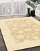 Machine Washable Abstract Khaki Gold Rug in a Family Room, wshabs2879