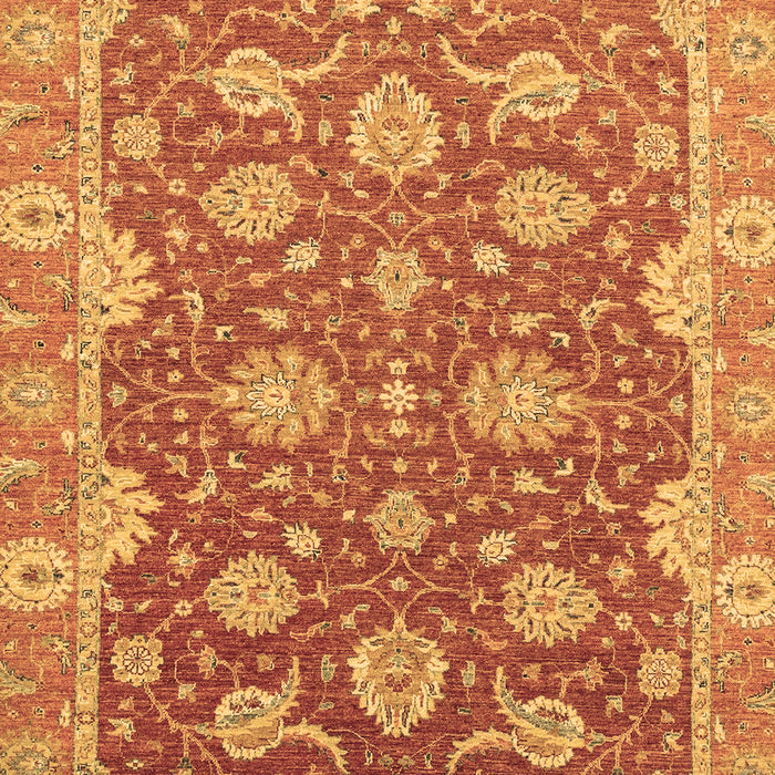 Oriental Brown Traditional Rug, abs2886brn
