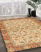 Abstract Chocolate Brown Oriental Rug in Family Room, abs2895