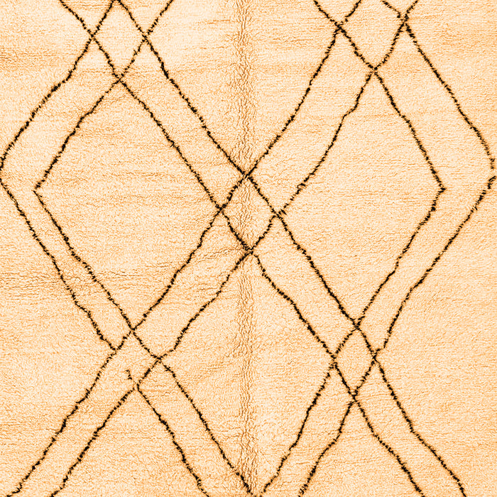 Solid Orange Modern Rug, abs2898org