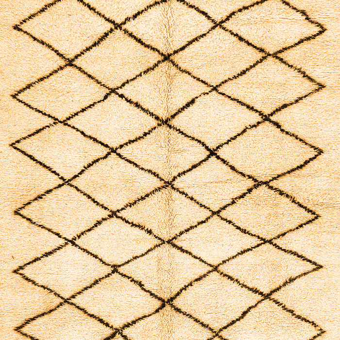 Solid Orange Modern Rug, abs2900org