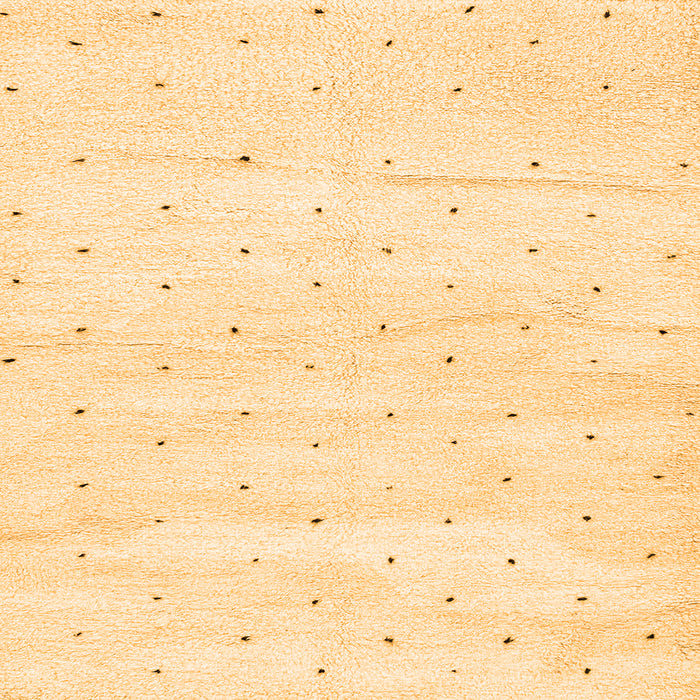 Square Solid Orange Modern Rug, abs2902org