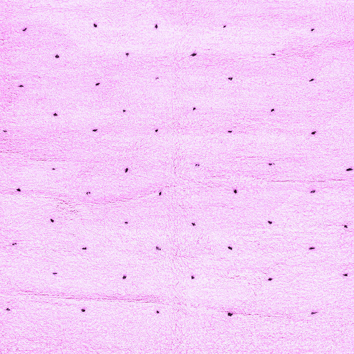 Machine Washable Solid Purple Modern Area Rugs, wshabs2902pur