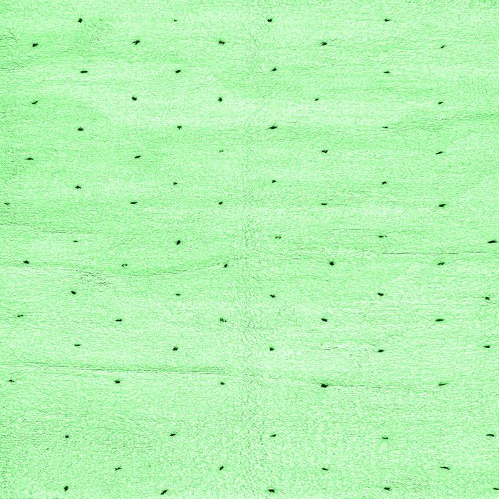 Square Machine Washable Solid Emerald Green Modern Area Rugs, wshabs2902emgrn