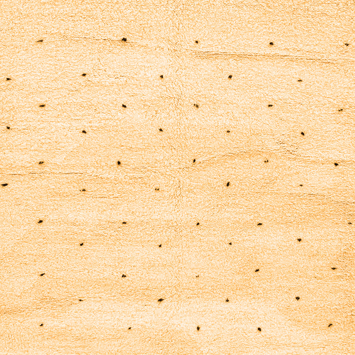 Solid Orange Modern Rug, abs2902org