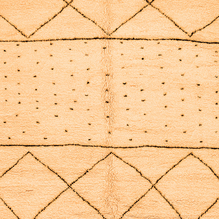 Solid Orange Modern Rug, abs2903org