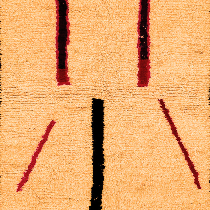 Machine Washable Solid Orange Modern Area Rugs, wshabs2906org