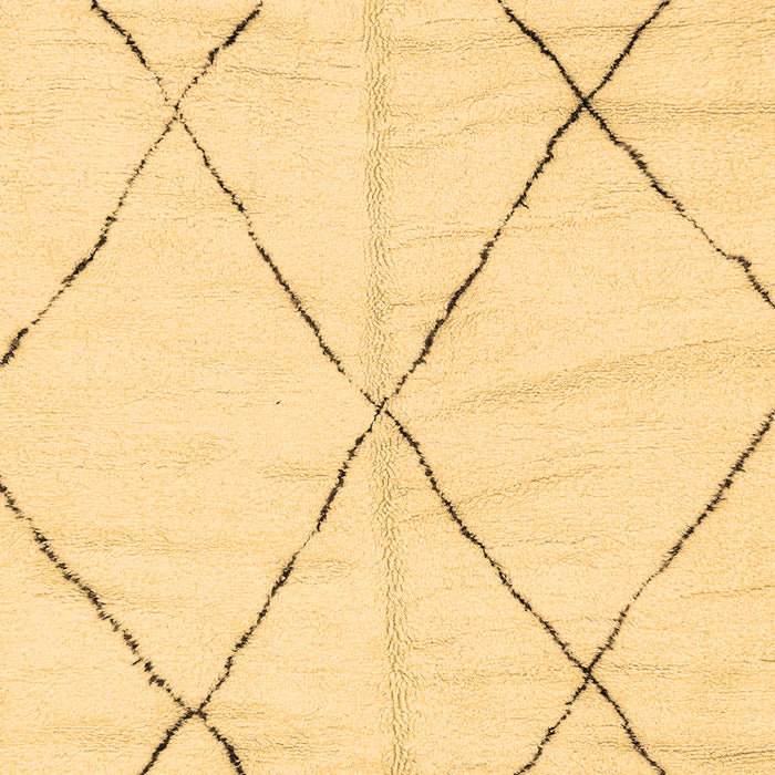 Machine Washable Solid Brown Modern Rug, wshabs2916brn