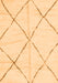 Solid Orange Modern Rug, abs2916org