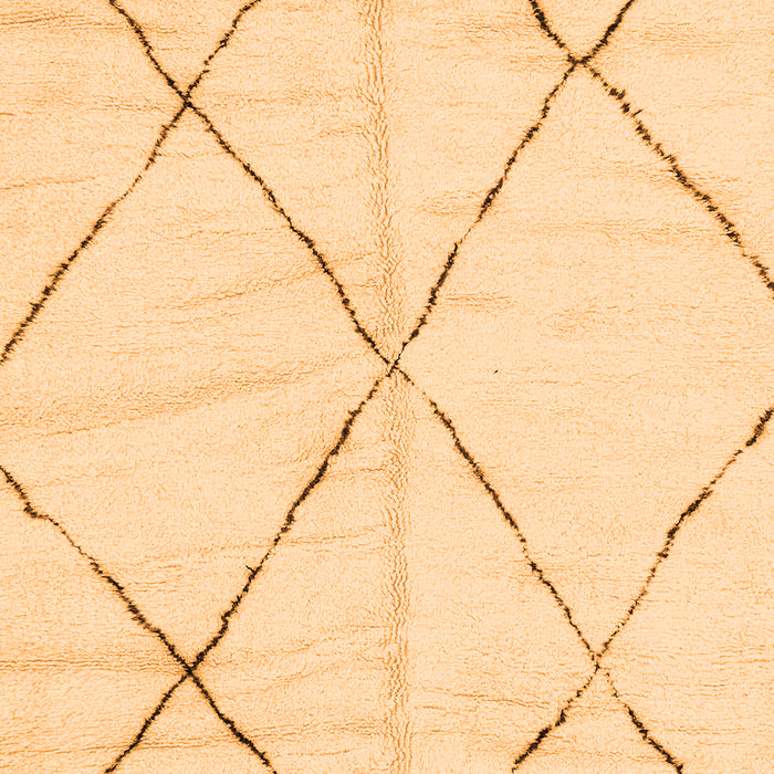 Solid Orange Modern Rug, abs2916org