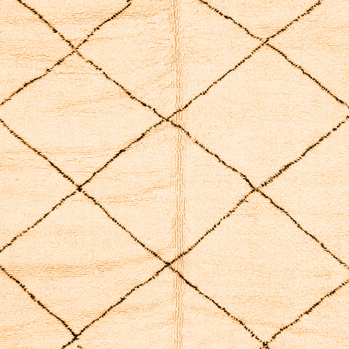 Solid Orange Modern Rug, abs2917org