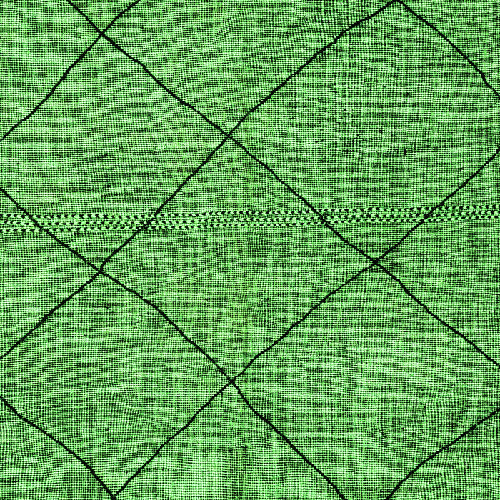 Machine Washable Solid Green Modern Area Rugs, wshabs2922grn