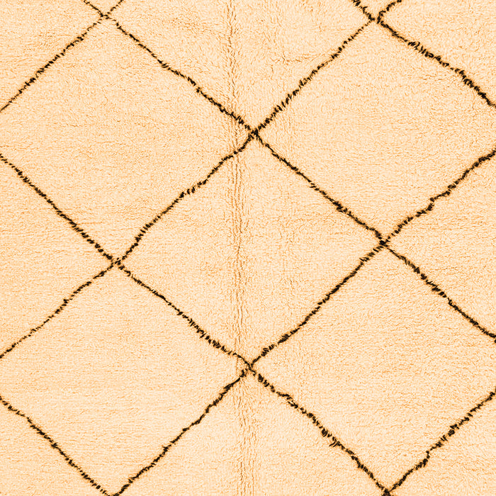 Solid Orange Modern Rug, abs2923org