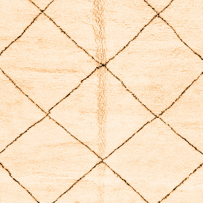 Solid Orange Modern Rug, abs2925org