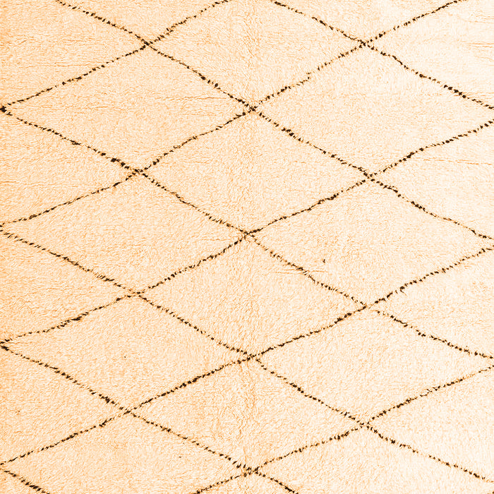 Solid Orange Modern Rug, abs2928org