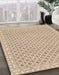 Machine Washable Abstract Camel Brown Rug in a Family Room, wshabs292