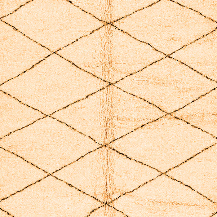 Machine Washable Solid Orange Modern Area Rugs, wshabs2931org