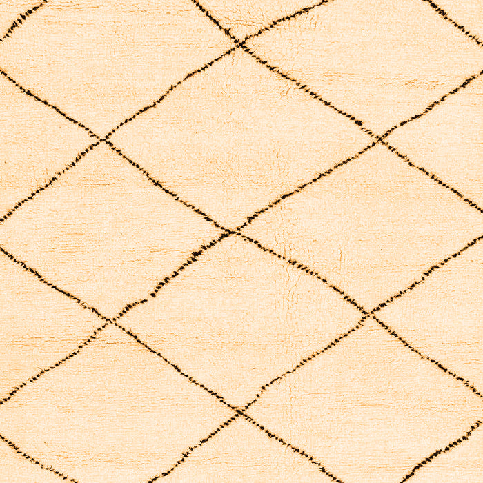 Solid Orange Modern Rug, abs2938org