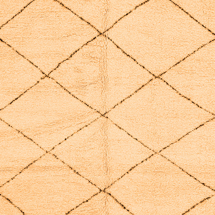 Solid Orange Modern Rug, abs2945org